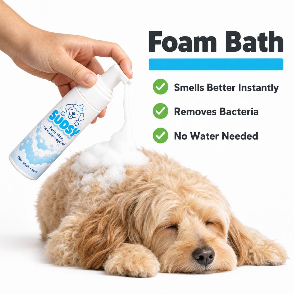 Sudsy | Waterless foam shampoo
