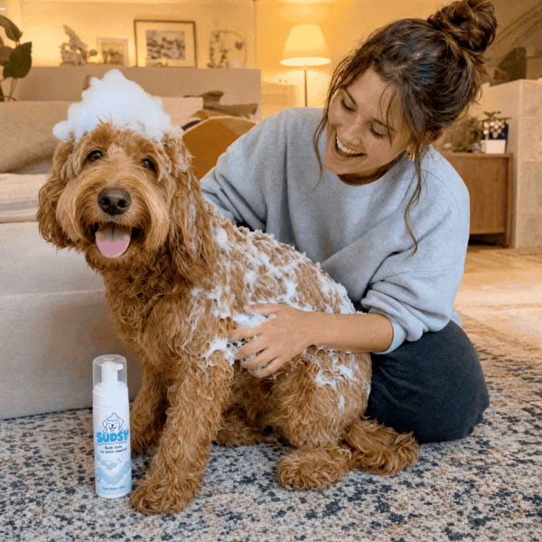 Sudsy | Waterless foam shampoo